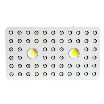 China Cob Led Grow Light,Led Grow Light,1000W Led Grow Light